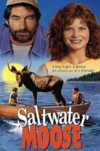 FILMS - SALT WATER MOOSE