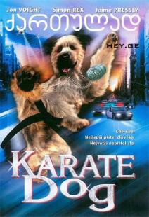 FILMS - THE KARATE DOG